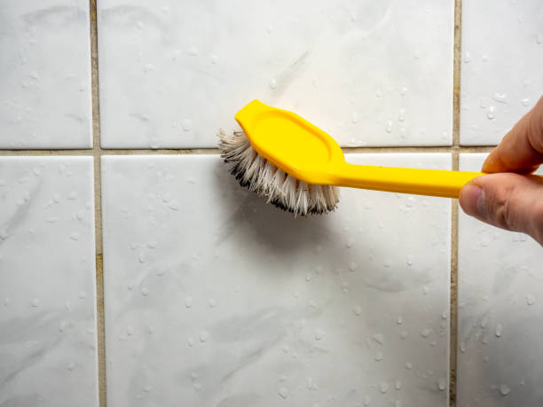 Best Attic Mold Removal  in Springhill, LA
