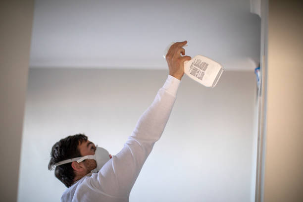 Crawl Space Mold Removal in Springhill, LA