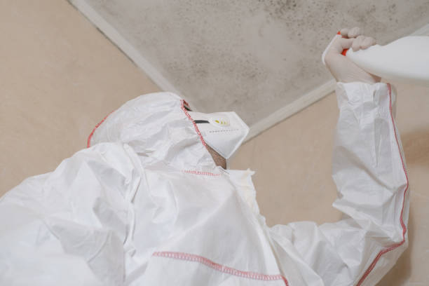 Water Damage Restoration in Springhill, LA